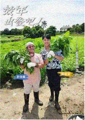 总裁秘书的逆袭封面